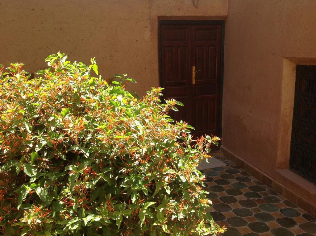 Riad Timadrouine Timatraouine Pokój zdjęcie