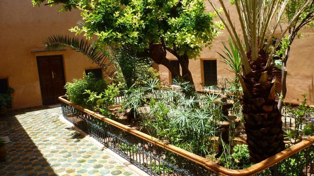 Riad Timadrouine Timatraouine Zewnętrze zdjęcie