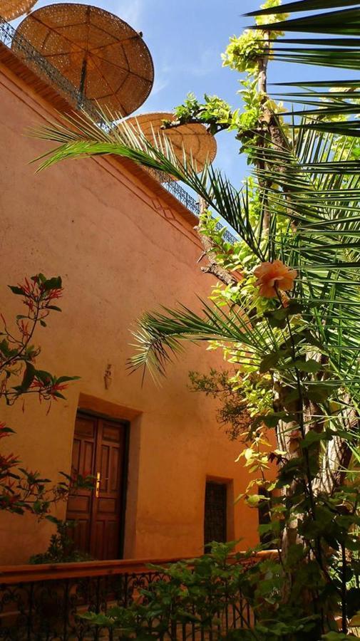 Riad Timadrouine Timatraouine Zewnętrze zdjęcie